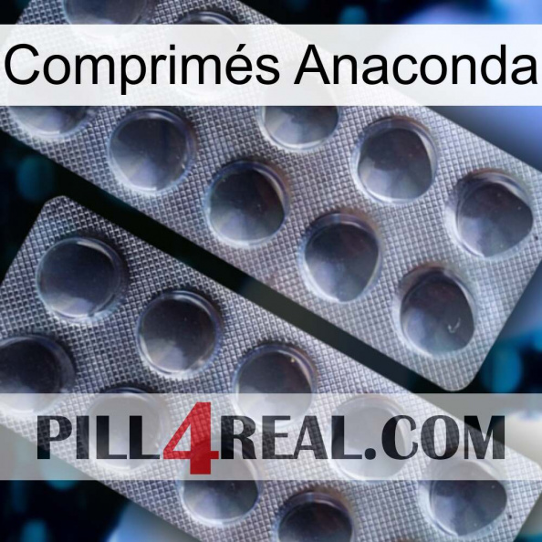Comprimés Anaconda 31.jpg